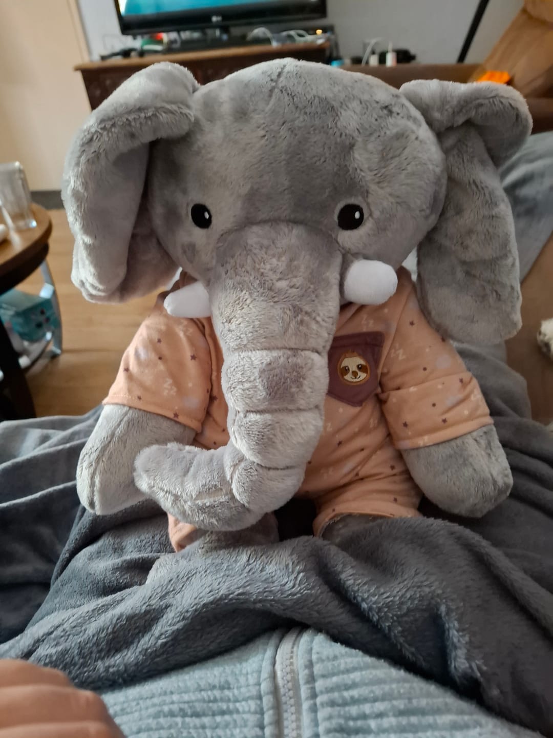 Customer photo review of Lotgenootje Olifant 2kg