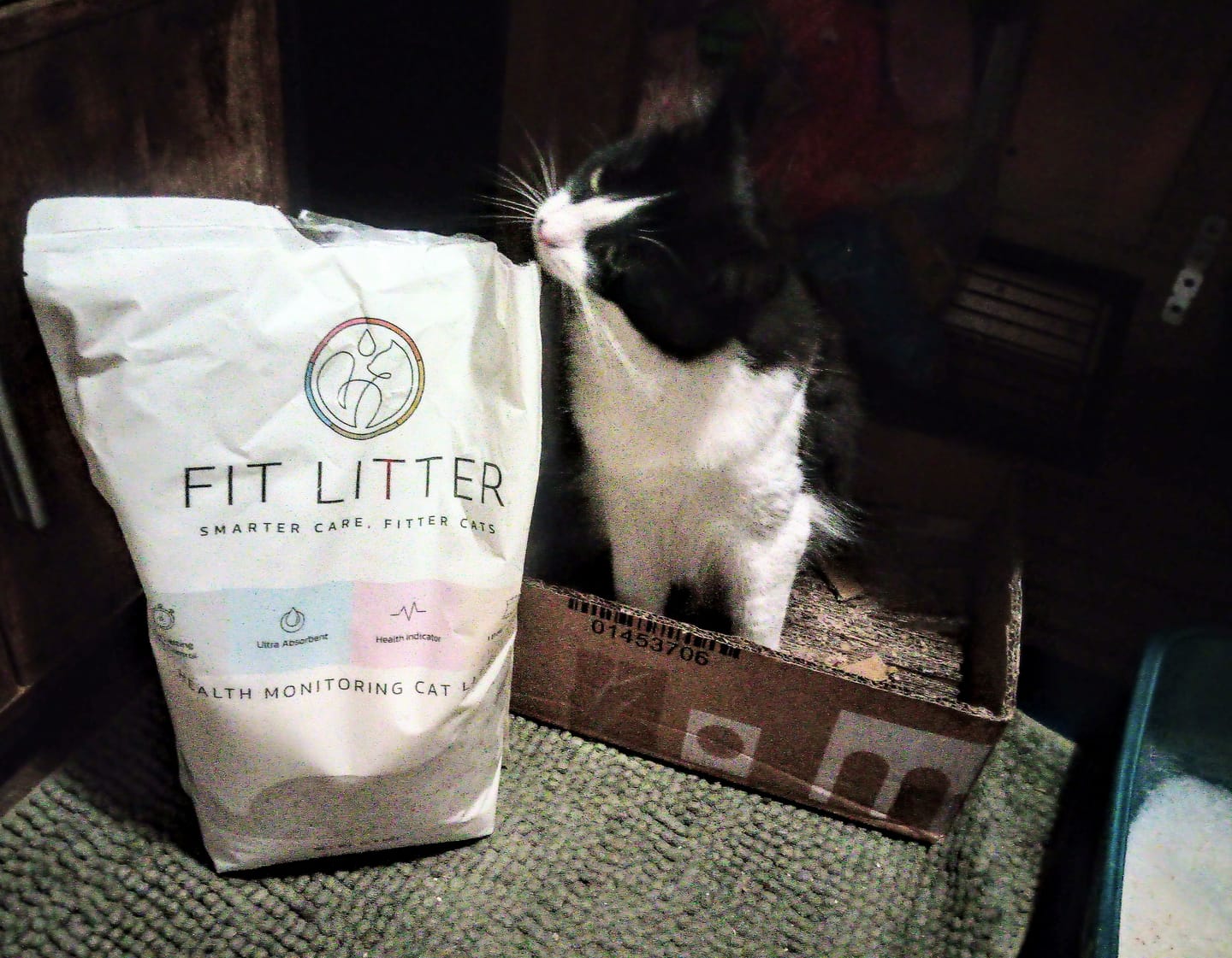 Customer photo review of Fit Litter