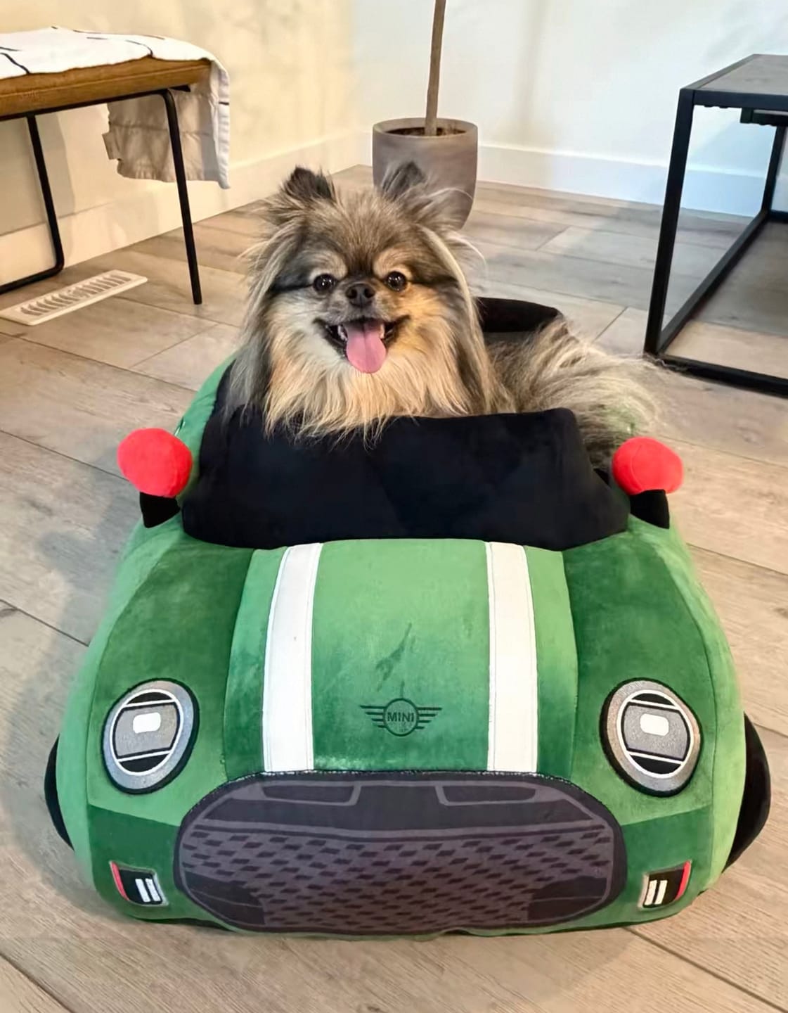 Customer photo review of Sports Car Pet Bed
