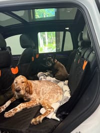 Customer photo review of Aktoclean RoadBed™️ – Extension de banquette rigide pour chien