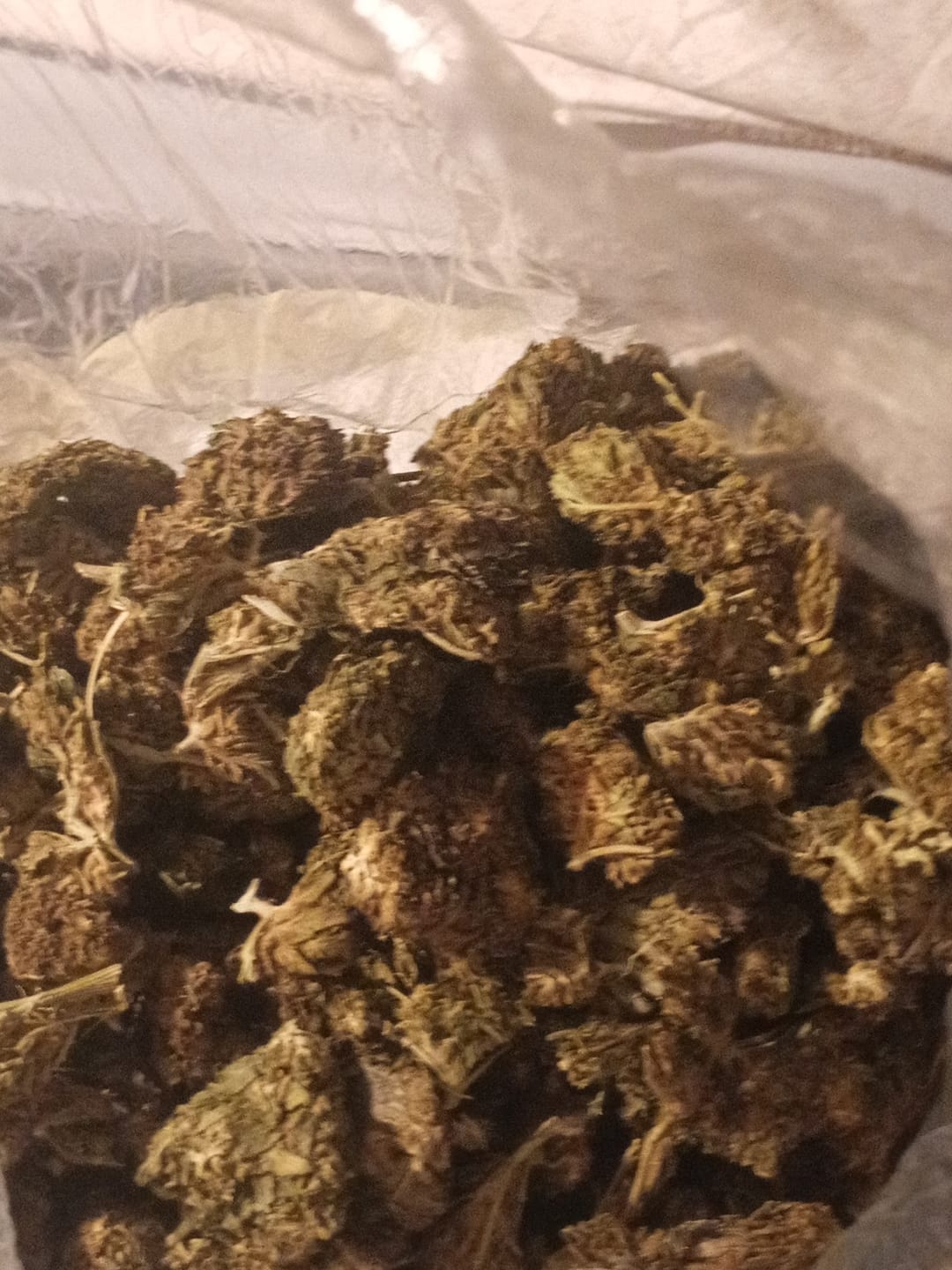Customer photo review of Bulk THCA Flower Pounds