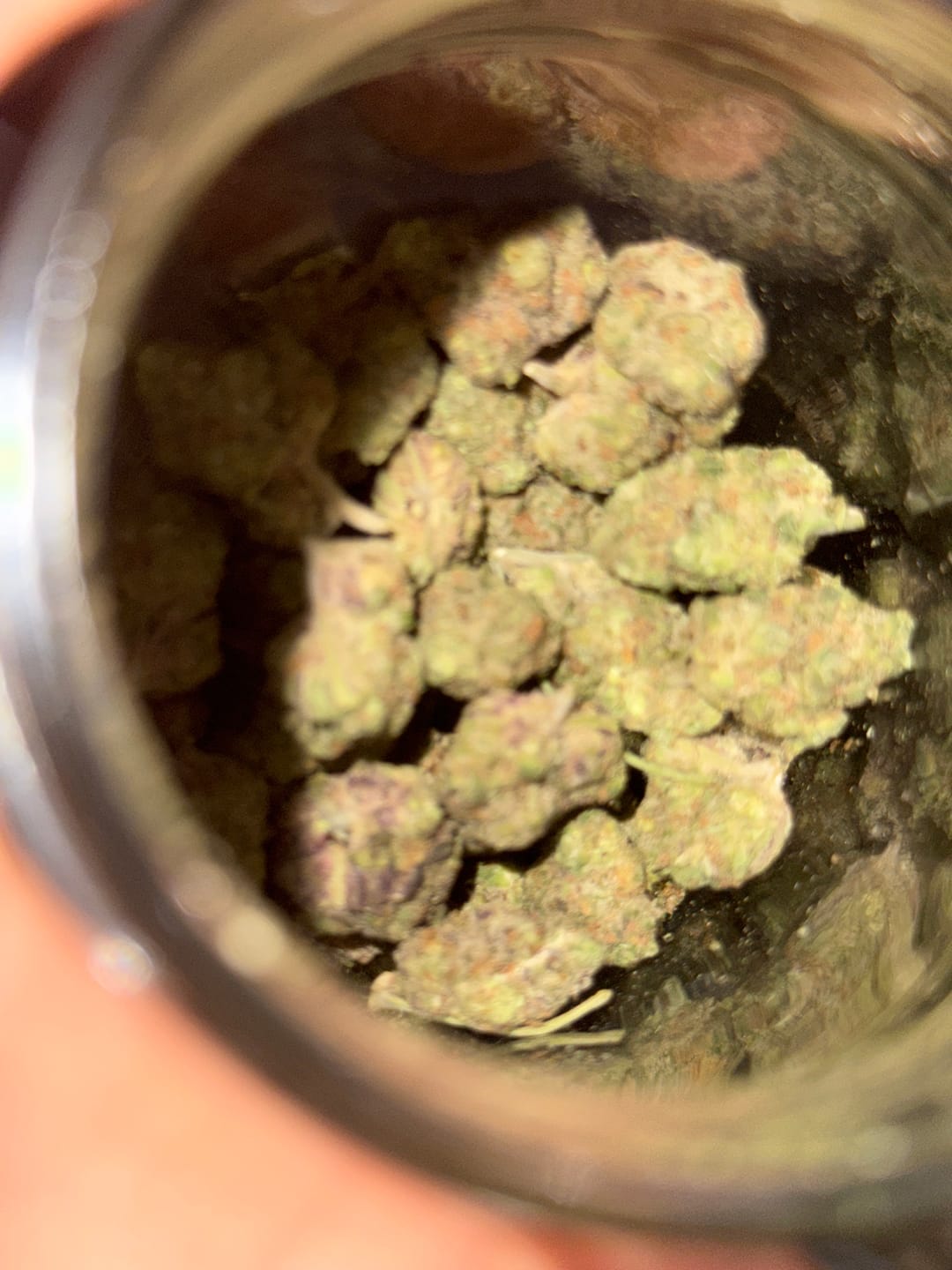 Customer photo review of Bulk Indoor THCA Smalls