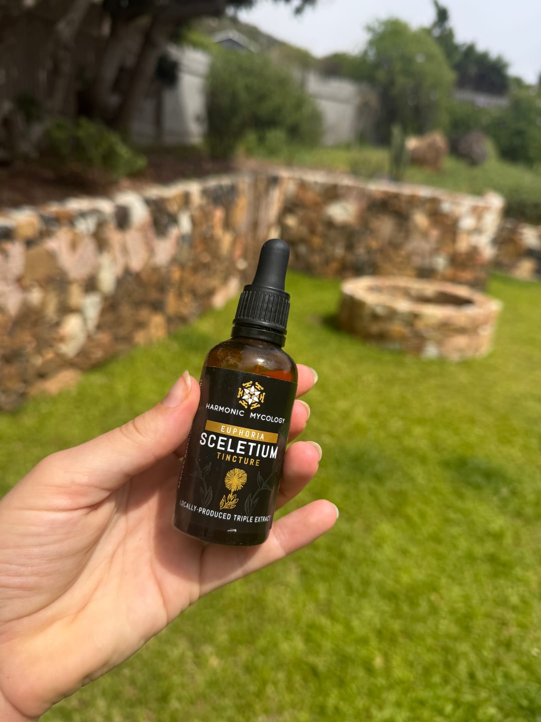 Customer photo review of Sceletium (Kanna) extract