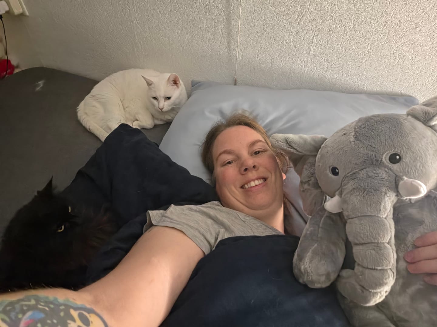 Customer photo review of Lotgenootje Olifant 2kg
