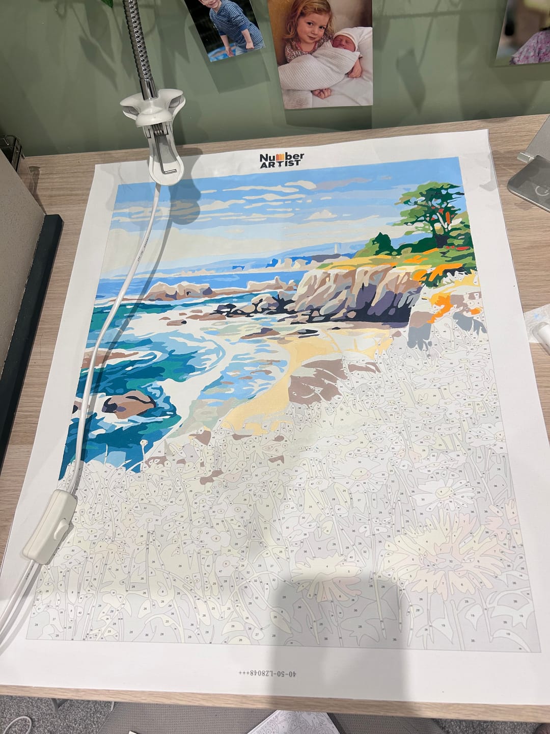 Customer photo review of Coastal Bloom Vista