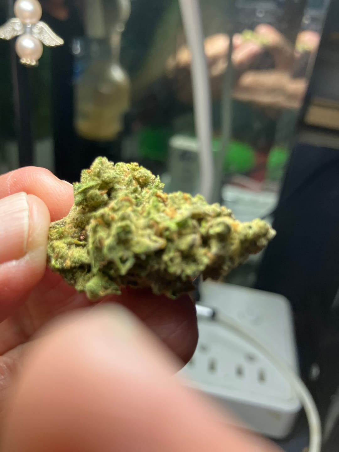 Customer photo review of THCA Queen