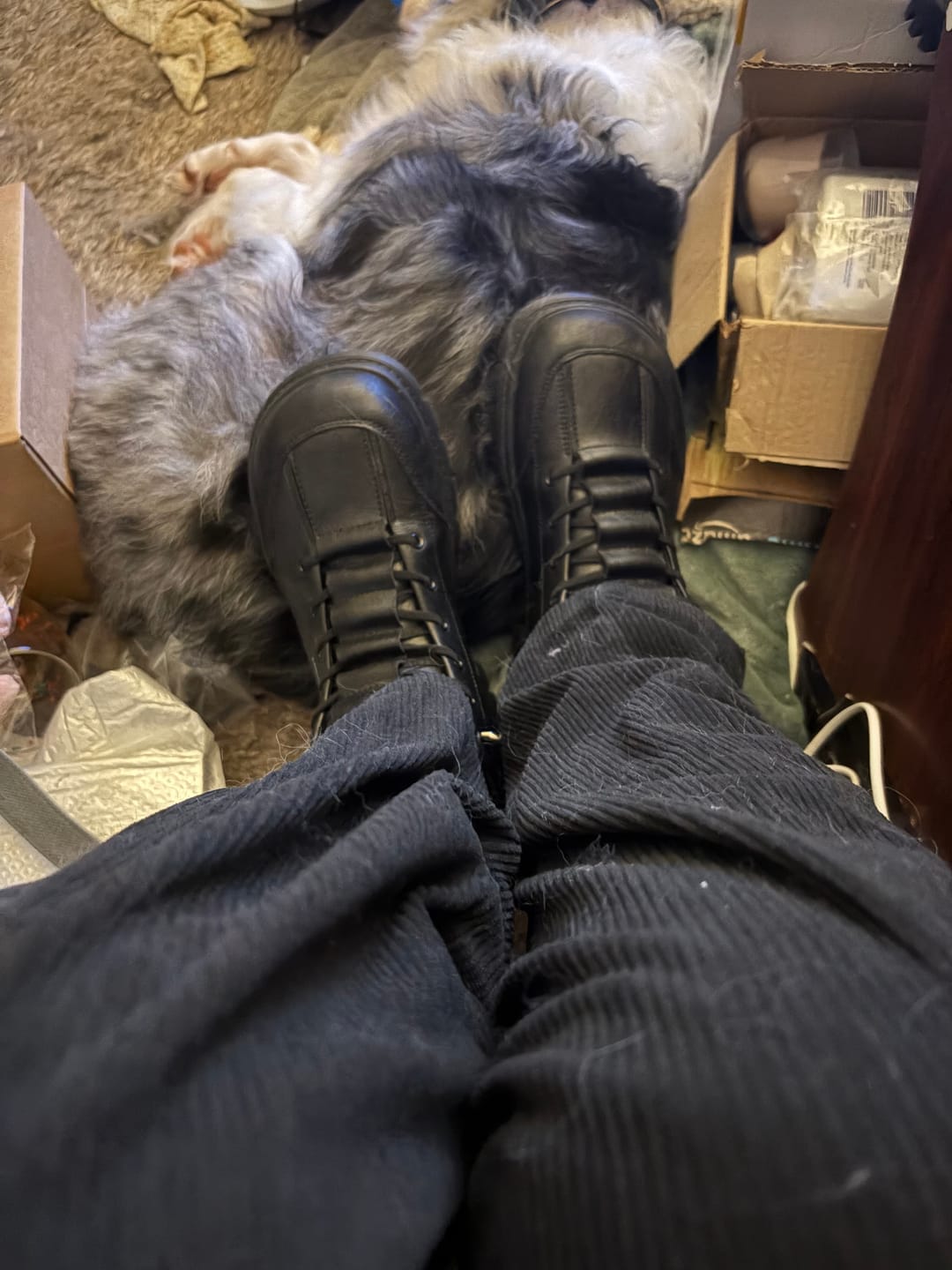 Customer photo review of Ridge - Casual Boots