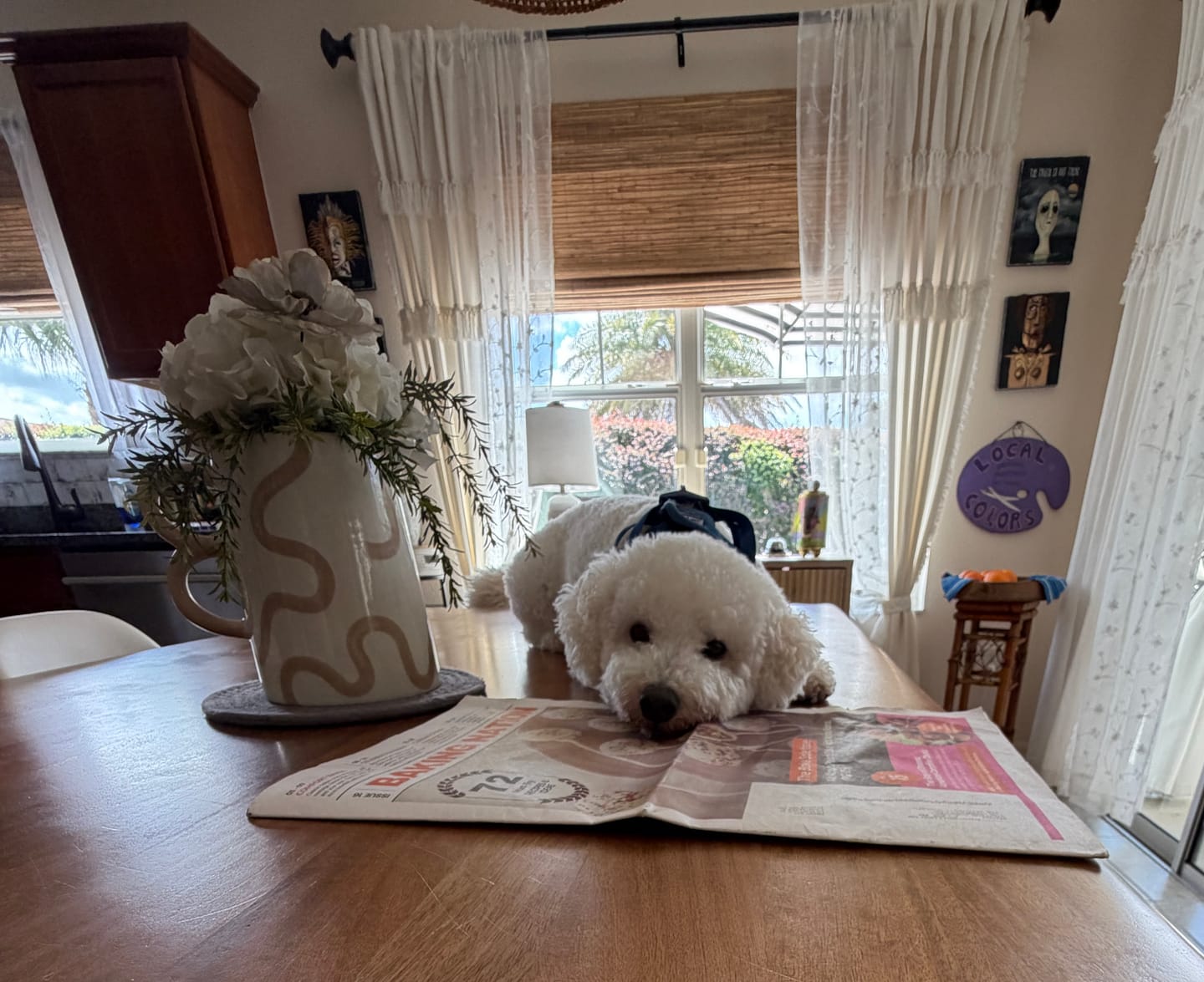 Customer photo review of Baking Nation • 1-Issue-a-Month Subscription