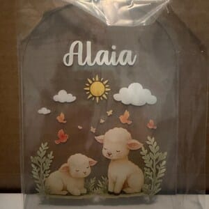 Customer photo review of Personalized LED Night Light
