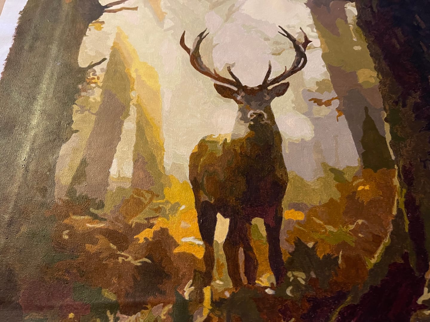 Customer photo review of Paint by Numbers - Majesty of the morning, in the light