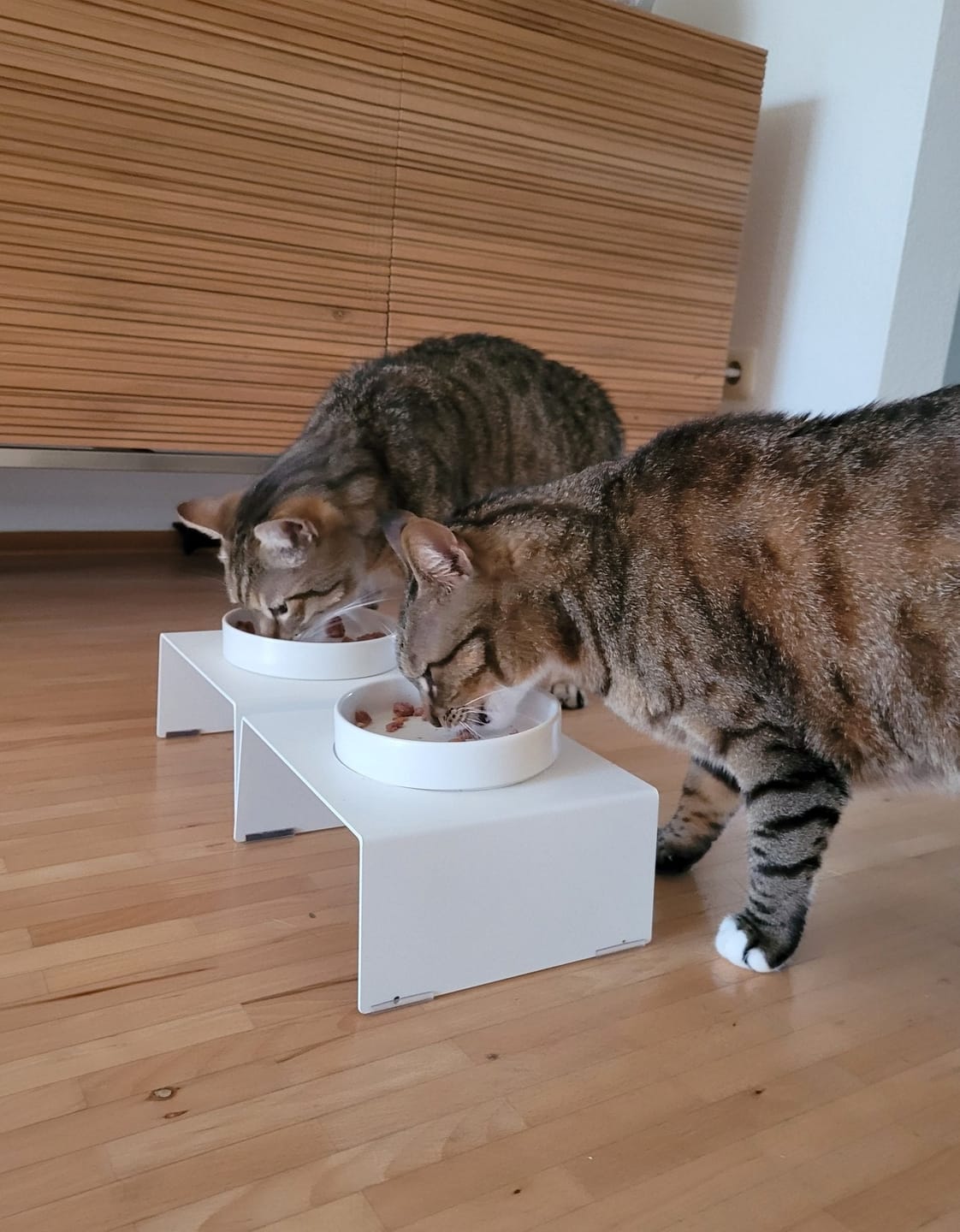 Customer photo review of STYA Katzen Futternapf FE210