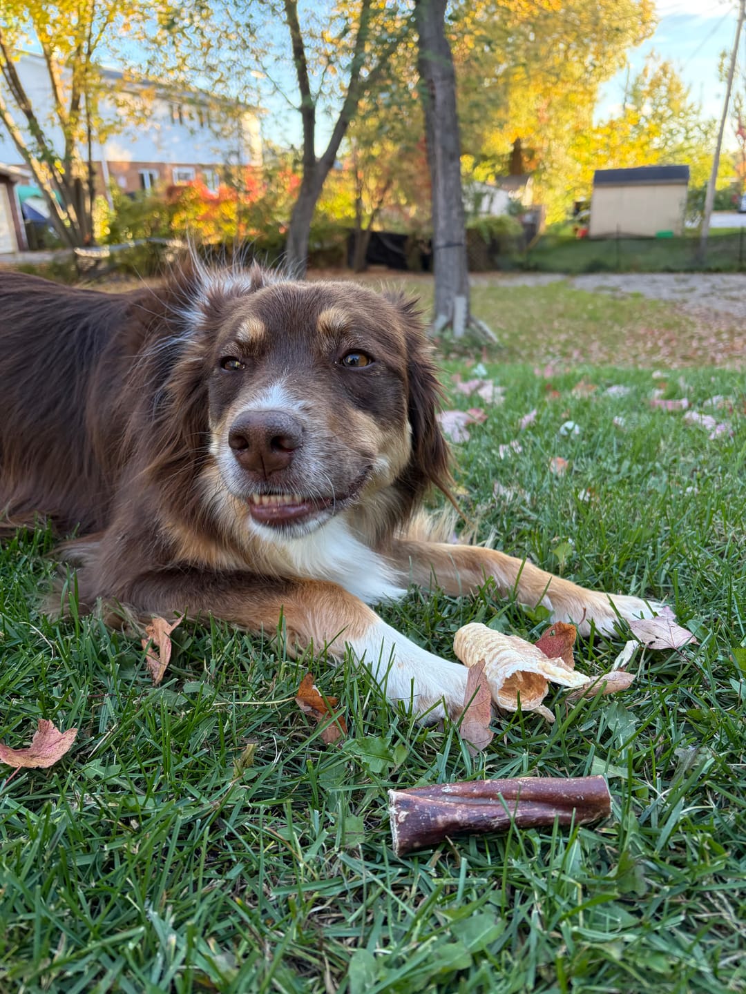 Customer photo review of Trail Mix