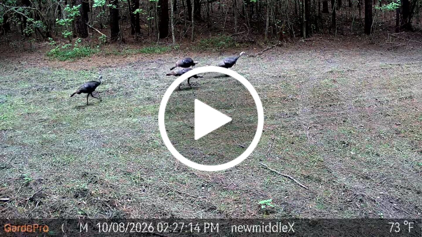 Customer video review of GardePro Link 1.0 3000ft(1km) Long-Range WiFi Trail Camera
