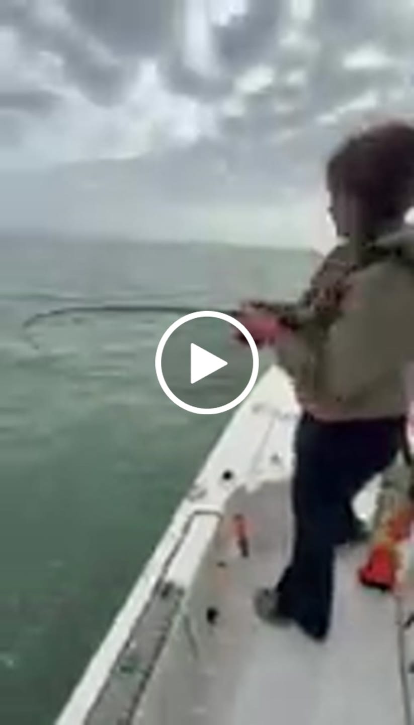 Customer video review of Carbon Elite II Spinning Reels
