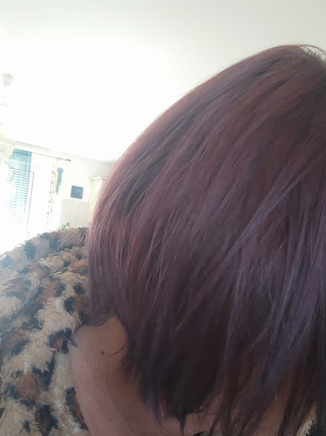 Customer photo review of Mattie Violet Purple - Vegan Semi-Permanent Direct Dye Hair Color Cream 210 ml