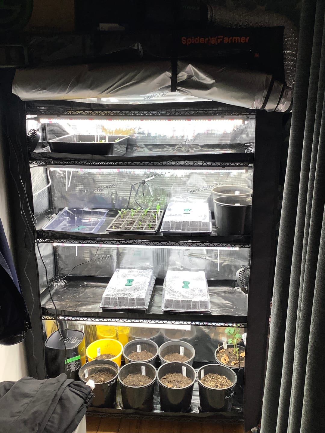 Customer photo review of SF-Plantstand230 by Spider Farmer - 6-tier indoor plant stand with integrated grow lights