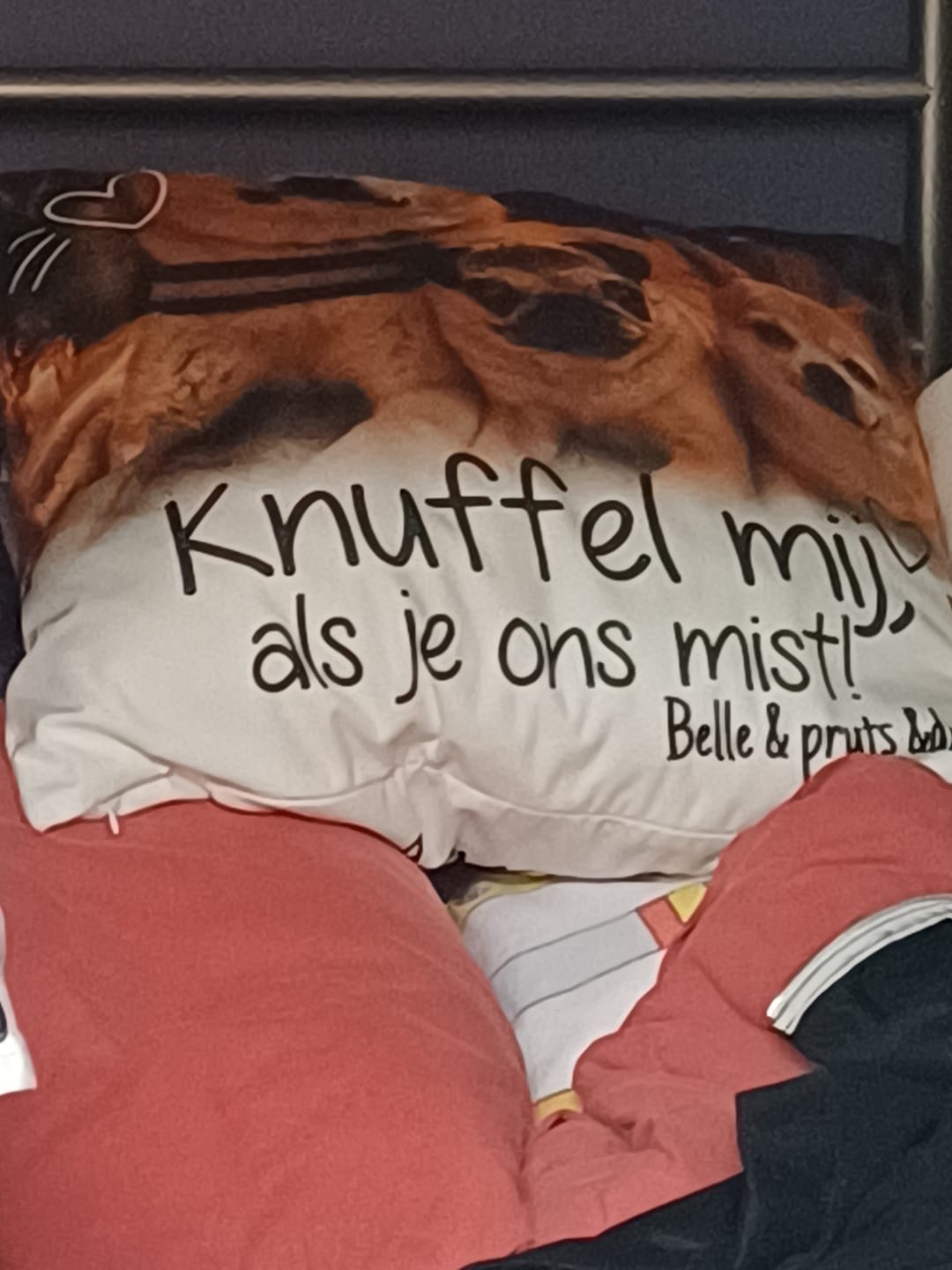 Customer photo review of Knuffel mij als je me mist - Gepersonaliseerde kussen