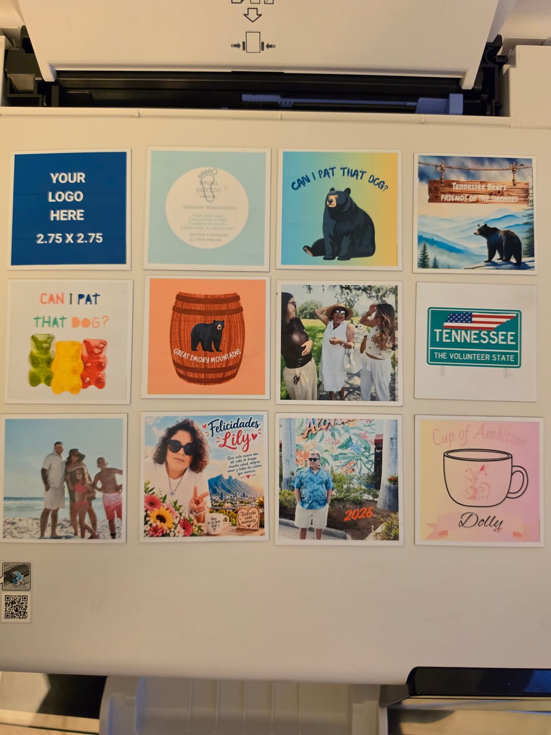 Customer photo review of Snap Magnets Templates All in One