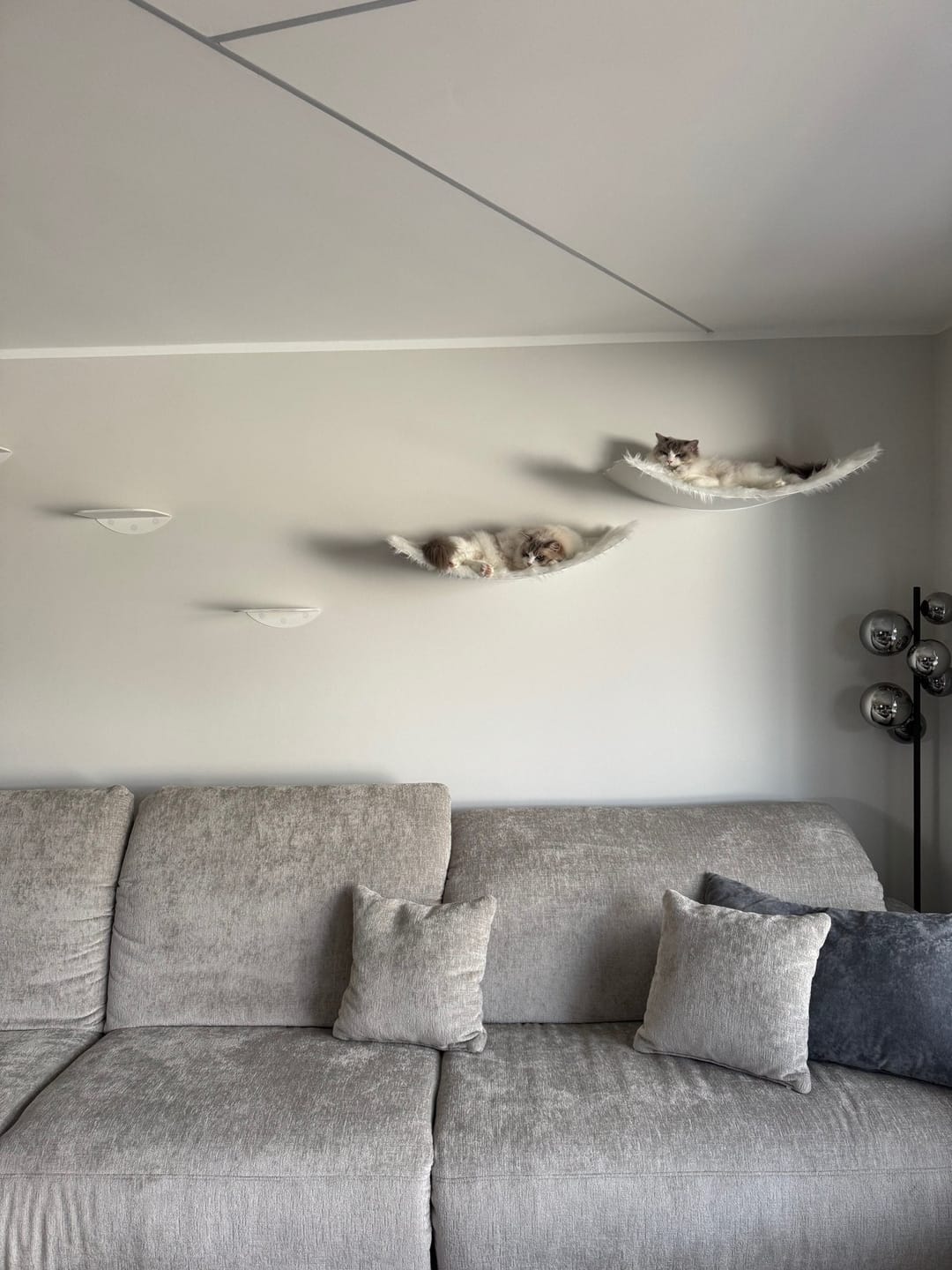 Customer photo review of STYA Katzen Kletterwand | Set Minimalist Hängematte XXL | Linie WL100