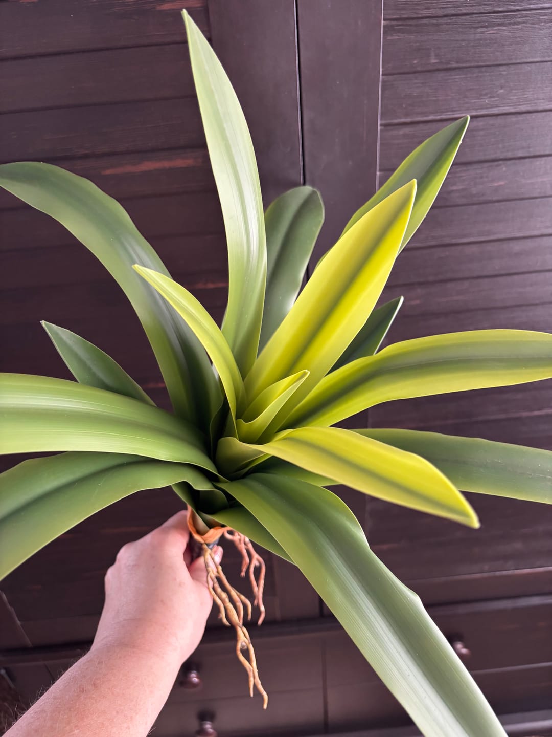 Customer photo review of Romilly Real Touch Agave
