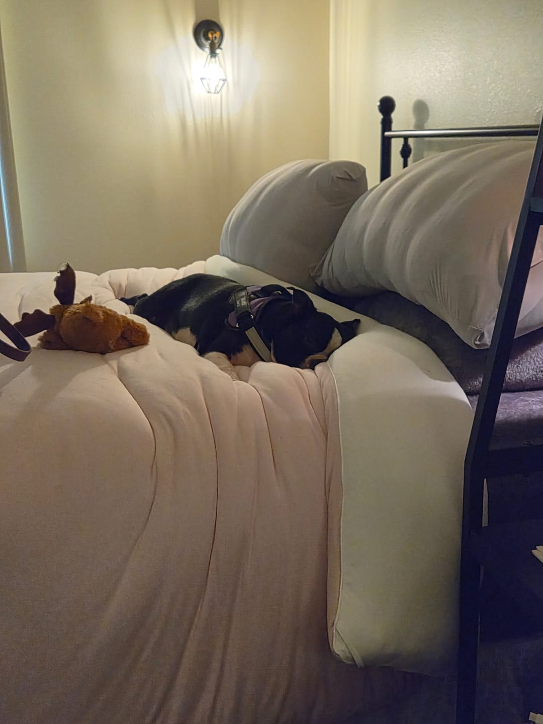 Customer photo review of MarshMellow Comforter