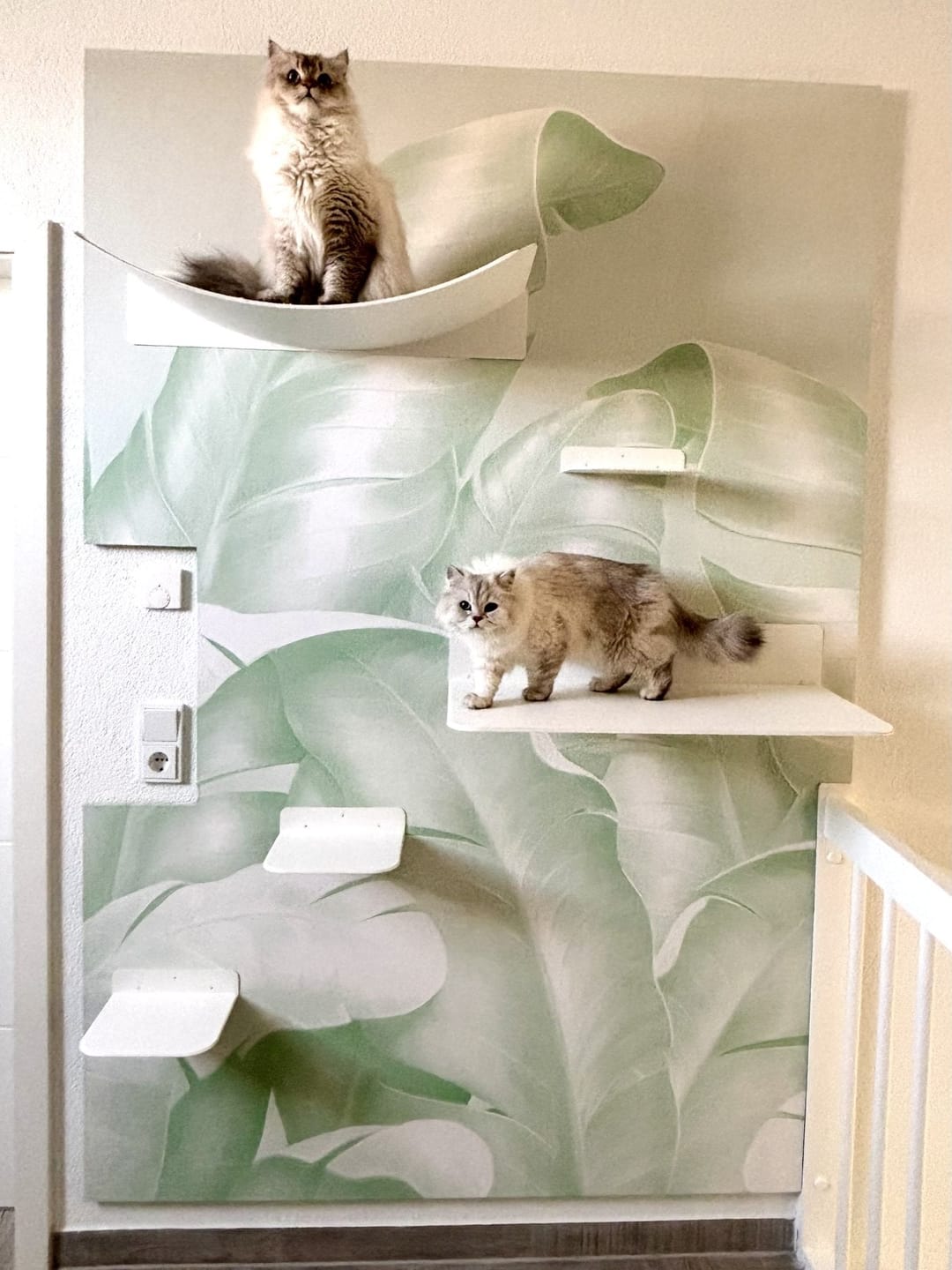 Customer photo review of STYA Katzen Kletterwand | Set Minimalist Hängematte XXL | Linie WL300