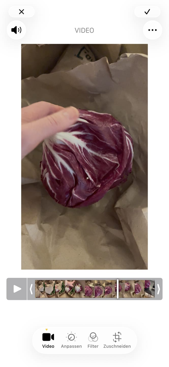 Customer photo review of Radicchio Chioggia Bio – regional von der Demeter-Gärtnerei Obergrashof