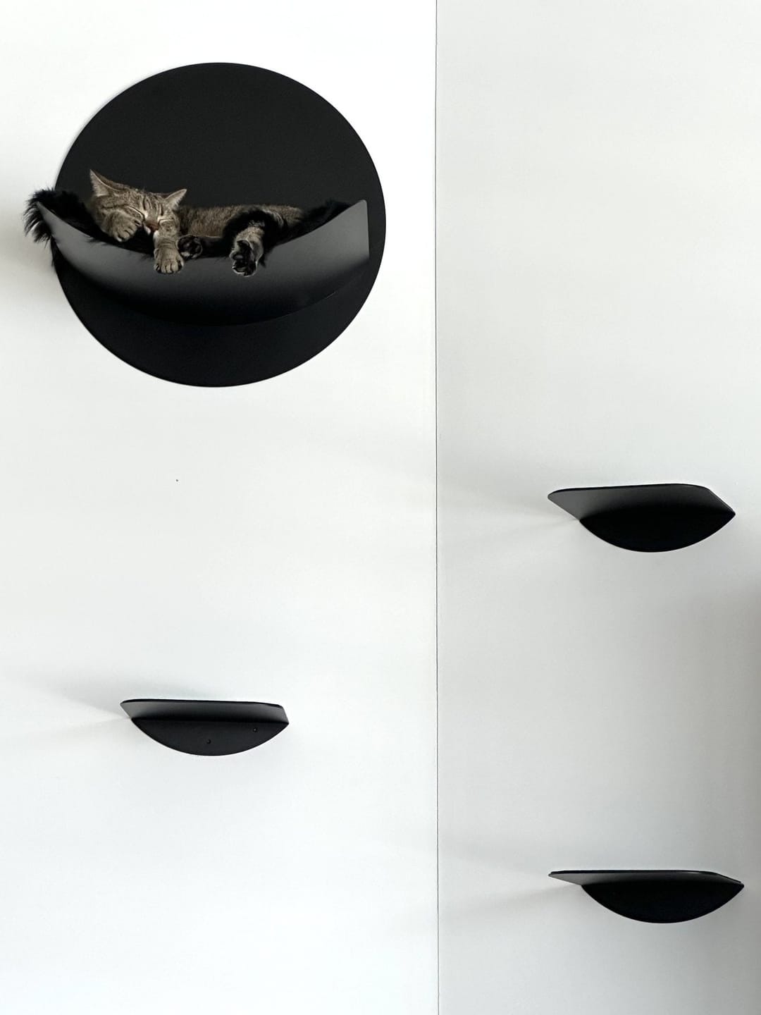 Customer photo review of STYA Katzen Kletterwand | Katzen Treppe WL140 | Mit 3 Stufen