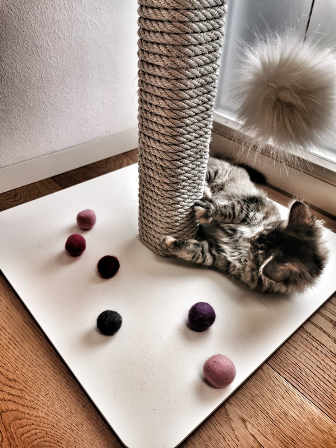 Customer photo review of STYA Katzen Kratzbaum MS520