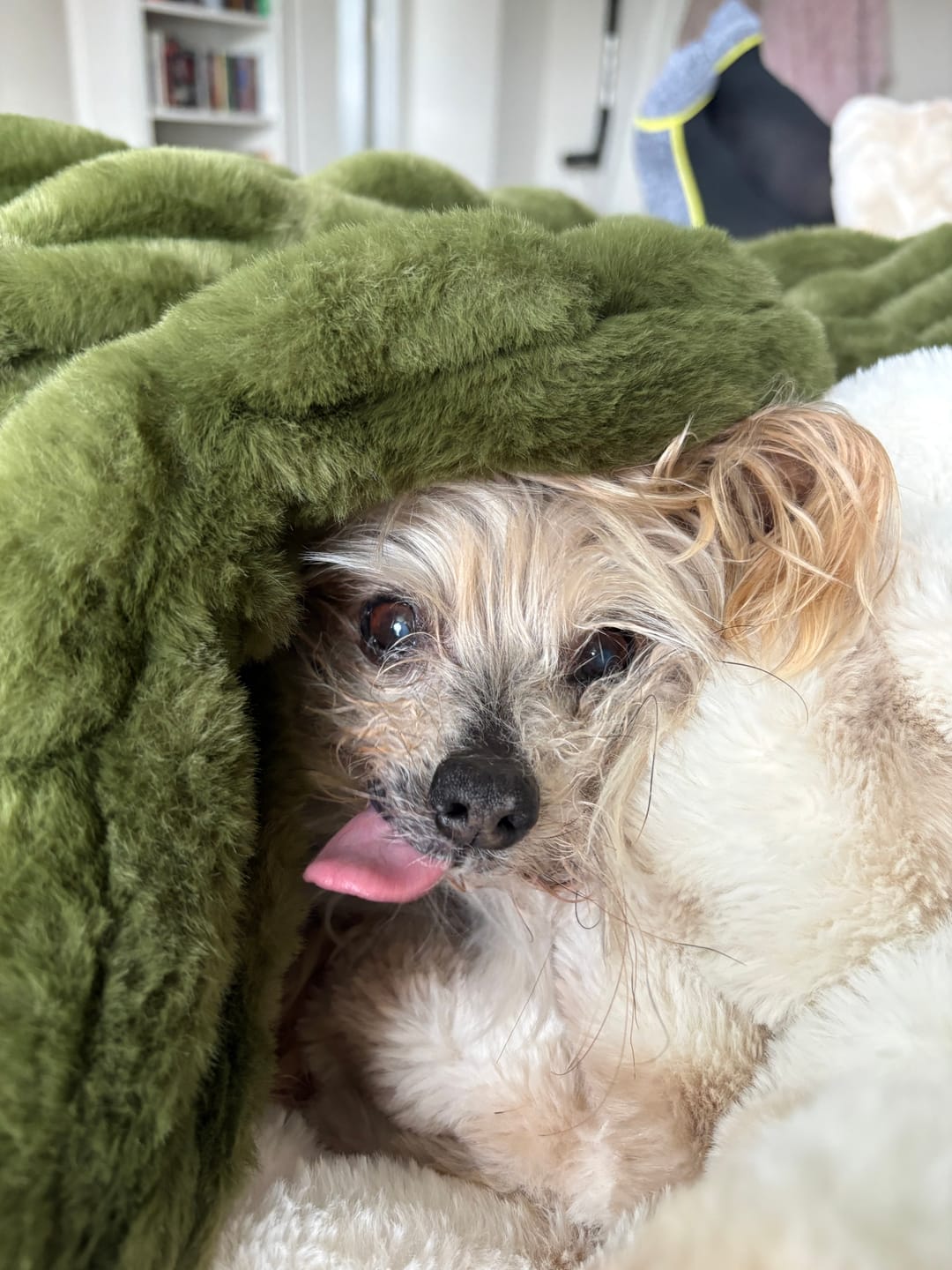 Customer photo review of Hugs Camp Green Blanket