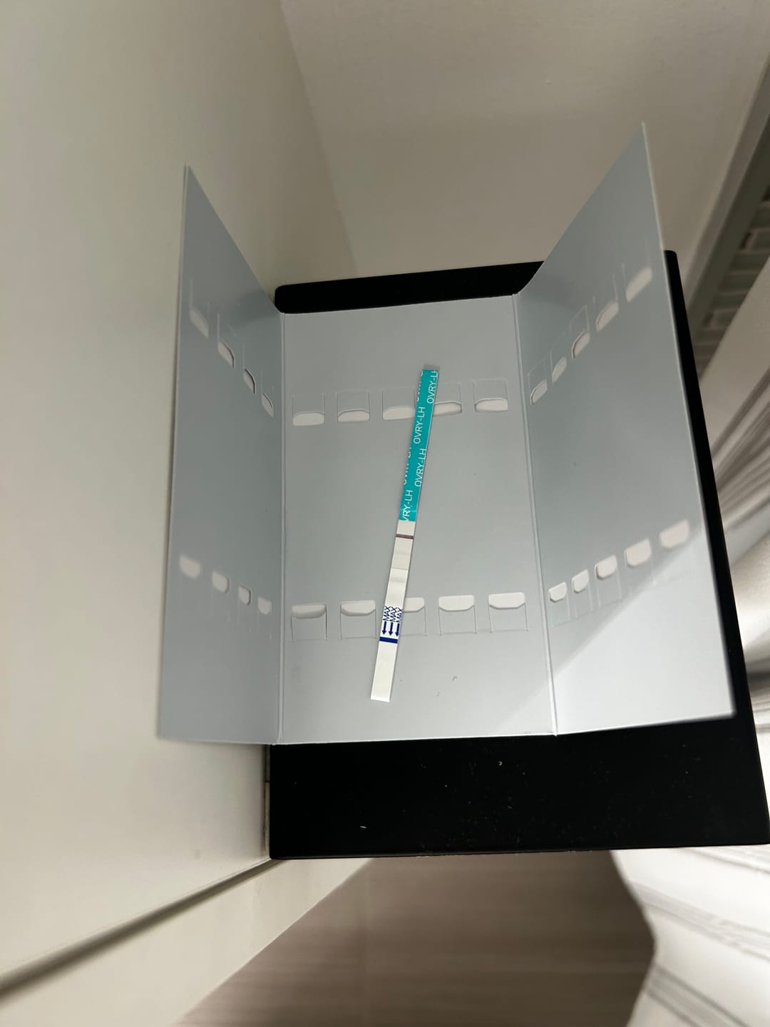 Customer photo review of Ovulation Test Strips