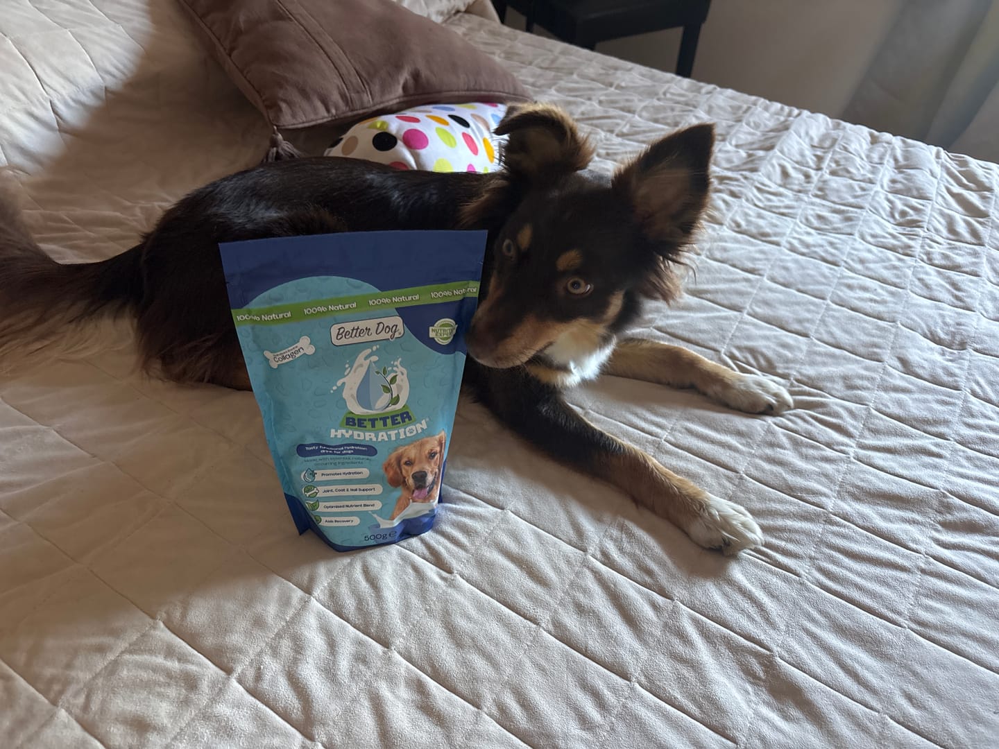 Customer photo review of Better Hydration