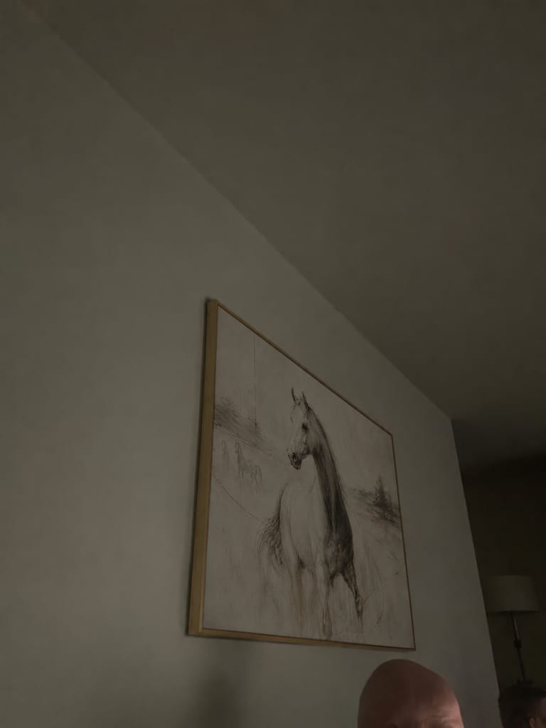 Reseña fotográfica del cliente de Minimalist Art M2PZ