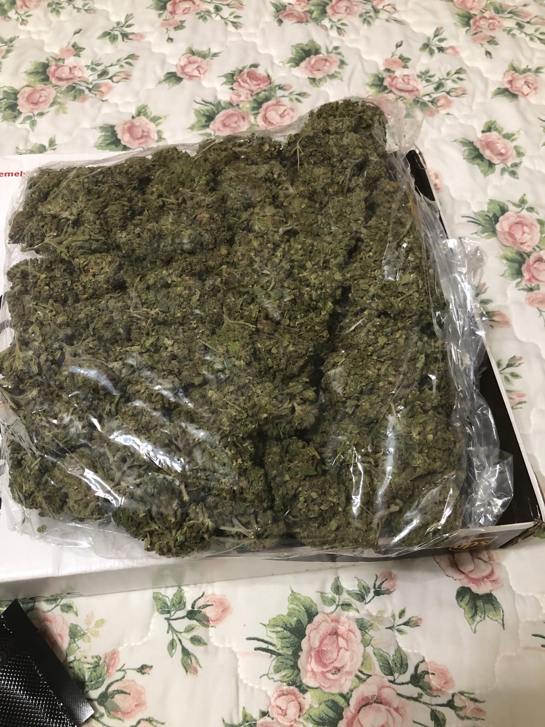 Customer photo review of Blackberry Kush - Bulk - Indica