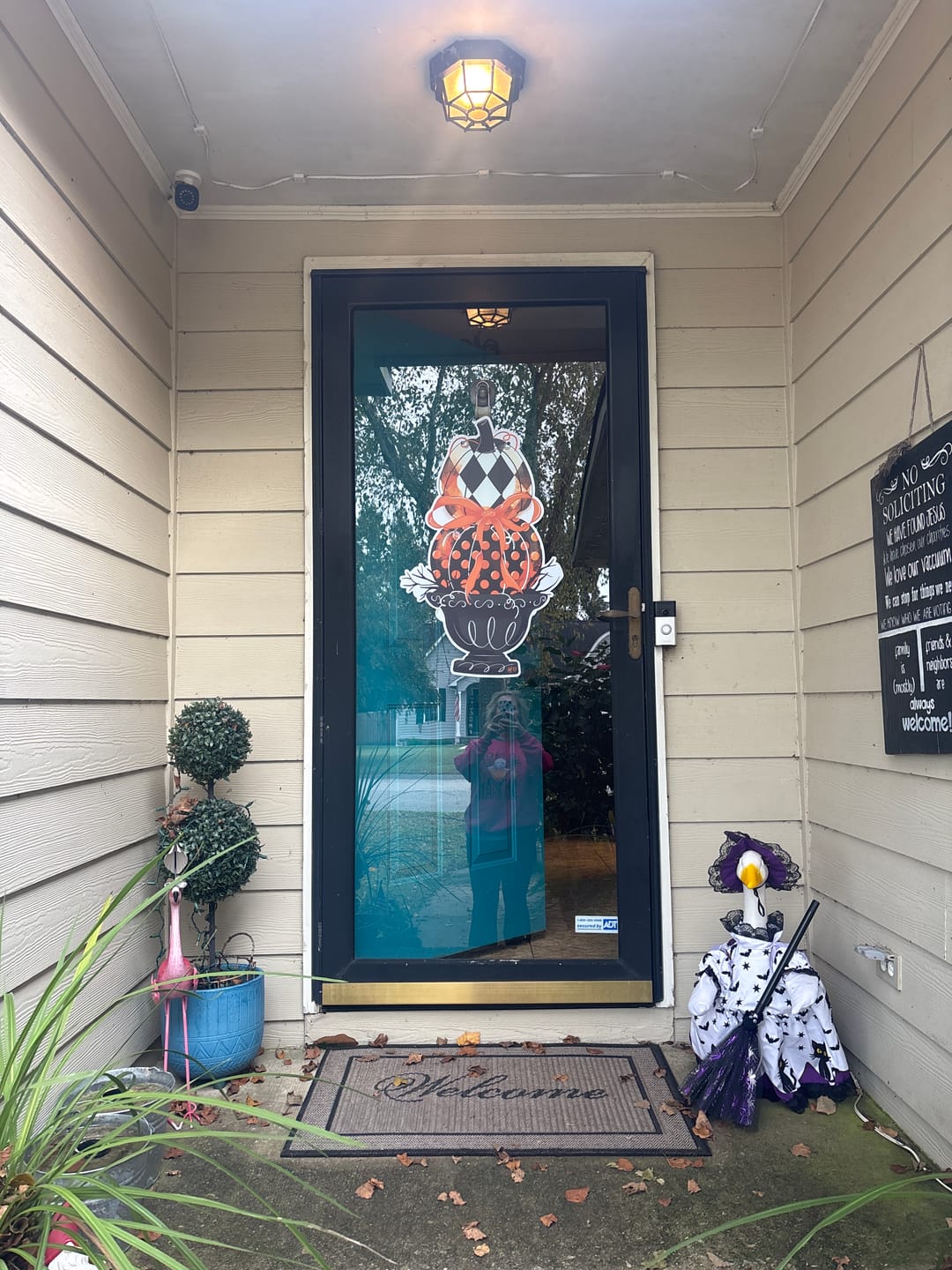 Customer photo review of Halloween Pumpkin Topiary Door Hanger