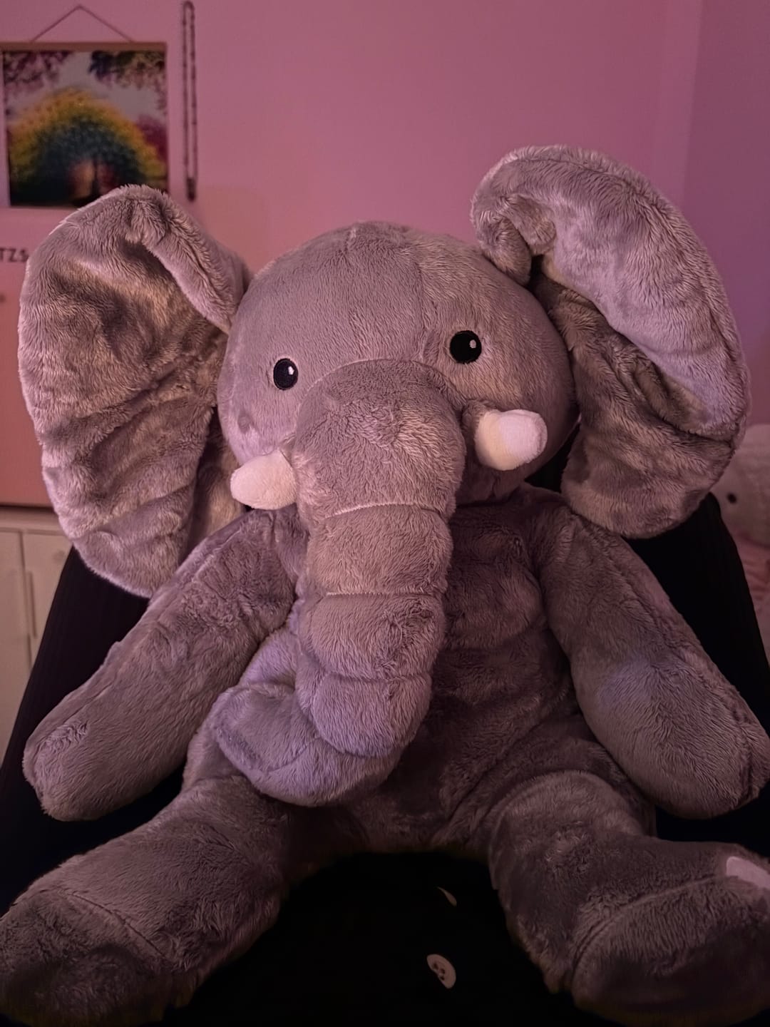 Customer photo review of Lotgenootje Olifant 2kg