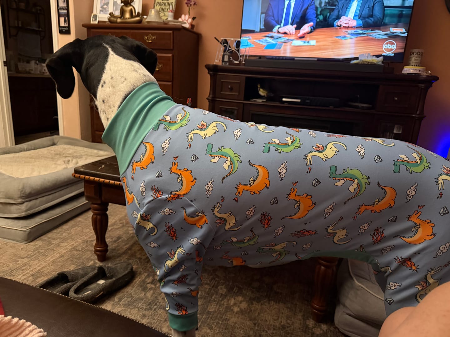 Customer photo review of Dog Pajama - Dinosaurs