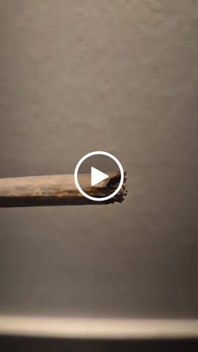 Customer video review of THC-A 60% Hash Plasma