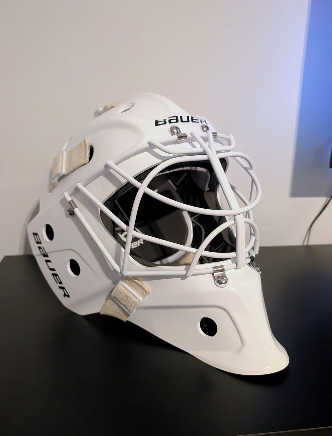 Customer photo review of Grille Cat-Eye Pro Cage