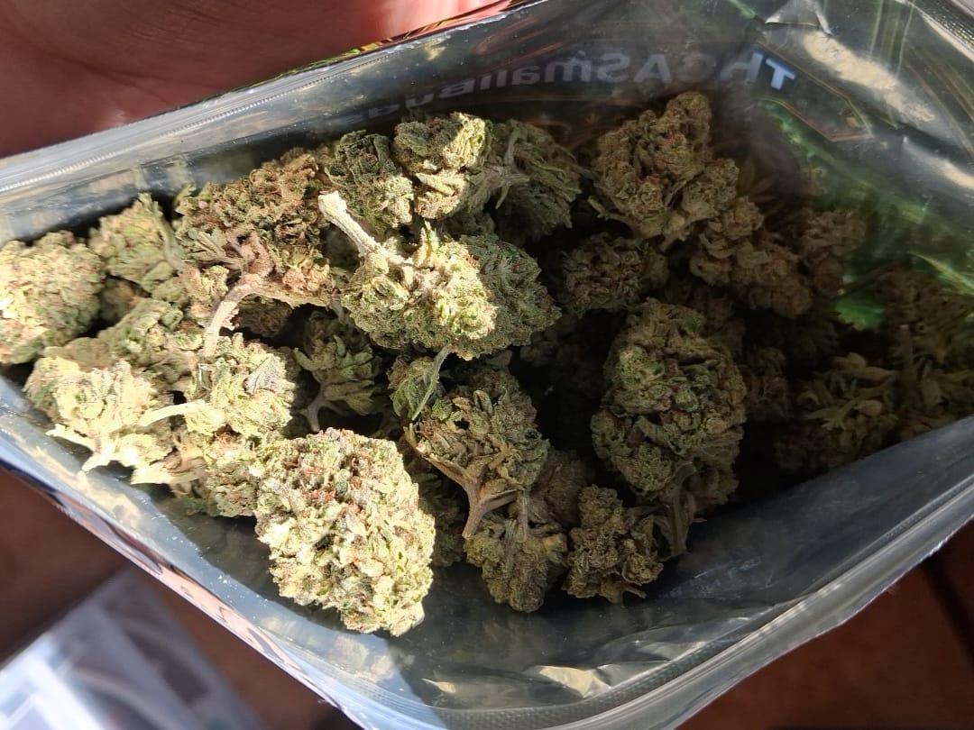 Customer photo review of Cheap THCA Flower Ounce