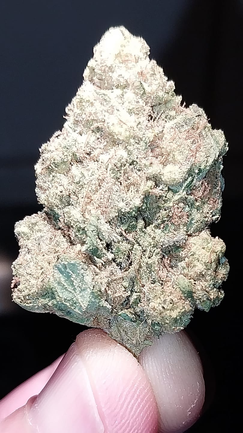 Customer photo review of Cheap Indoor THCA Flower Ounce