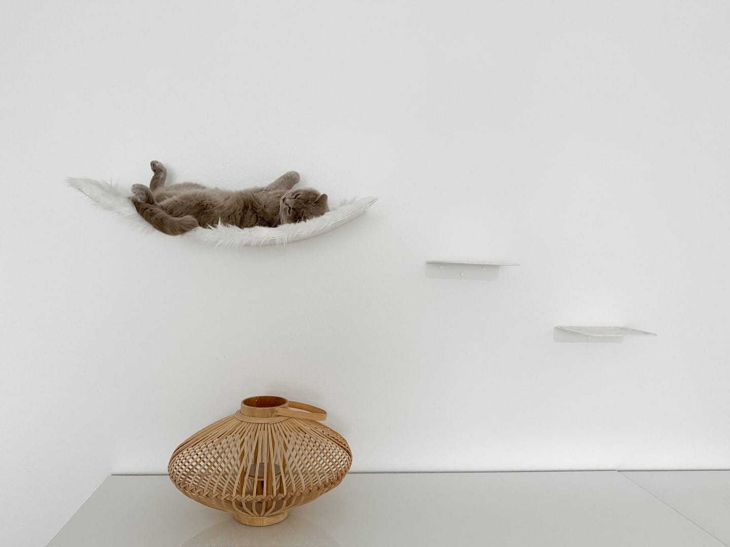 Customer photo review of STYA Katzen Kletterwand | XXL Hängematte WL170