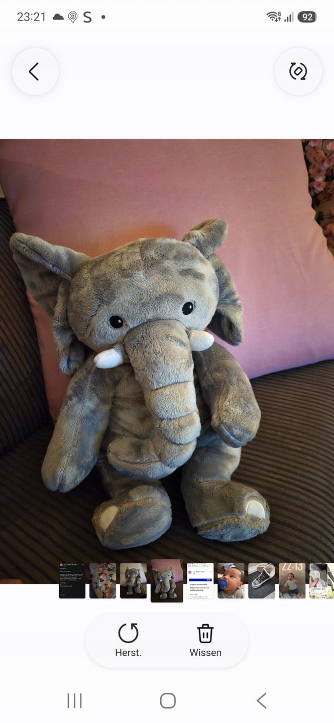 Customer photo review of Lotgenootje Olifant 2kg