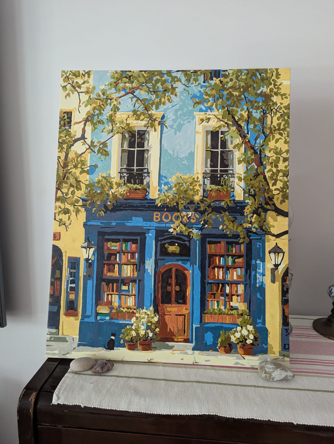 Customer photo review of The Blue Bookshop | Paint by Number