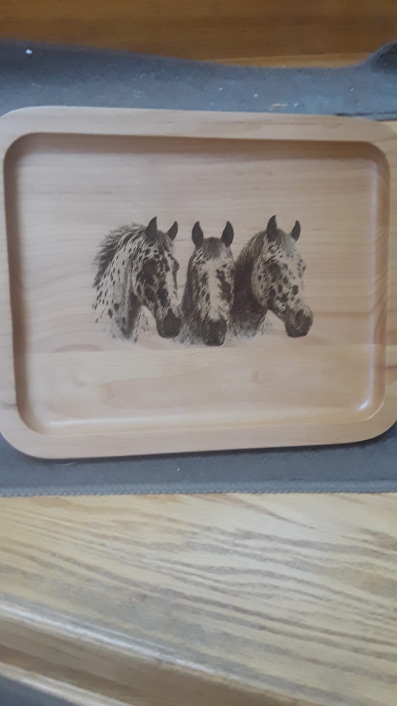 Customer photo review of Mystery Barn Bag!