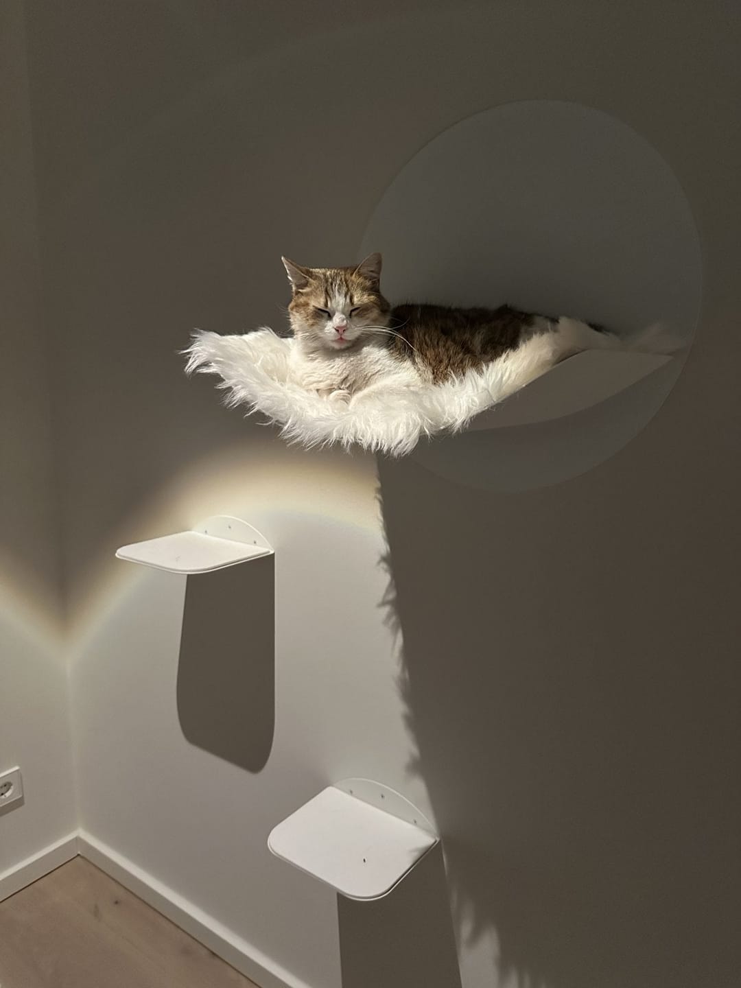 Customer photo review of STYA Katzen Kletterwand | Katzen Treppe WL140 | Mit 3 Stufen