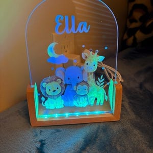 Customer photo review of Personalized LED Night Light