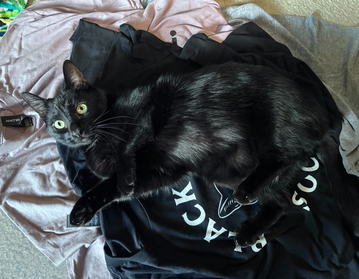 Customer photo review of Black Cat Magic Tee