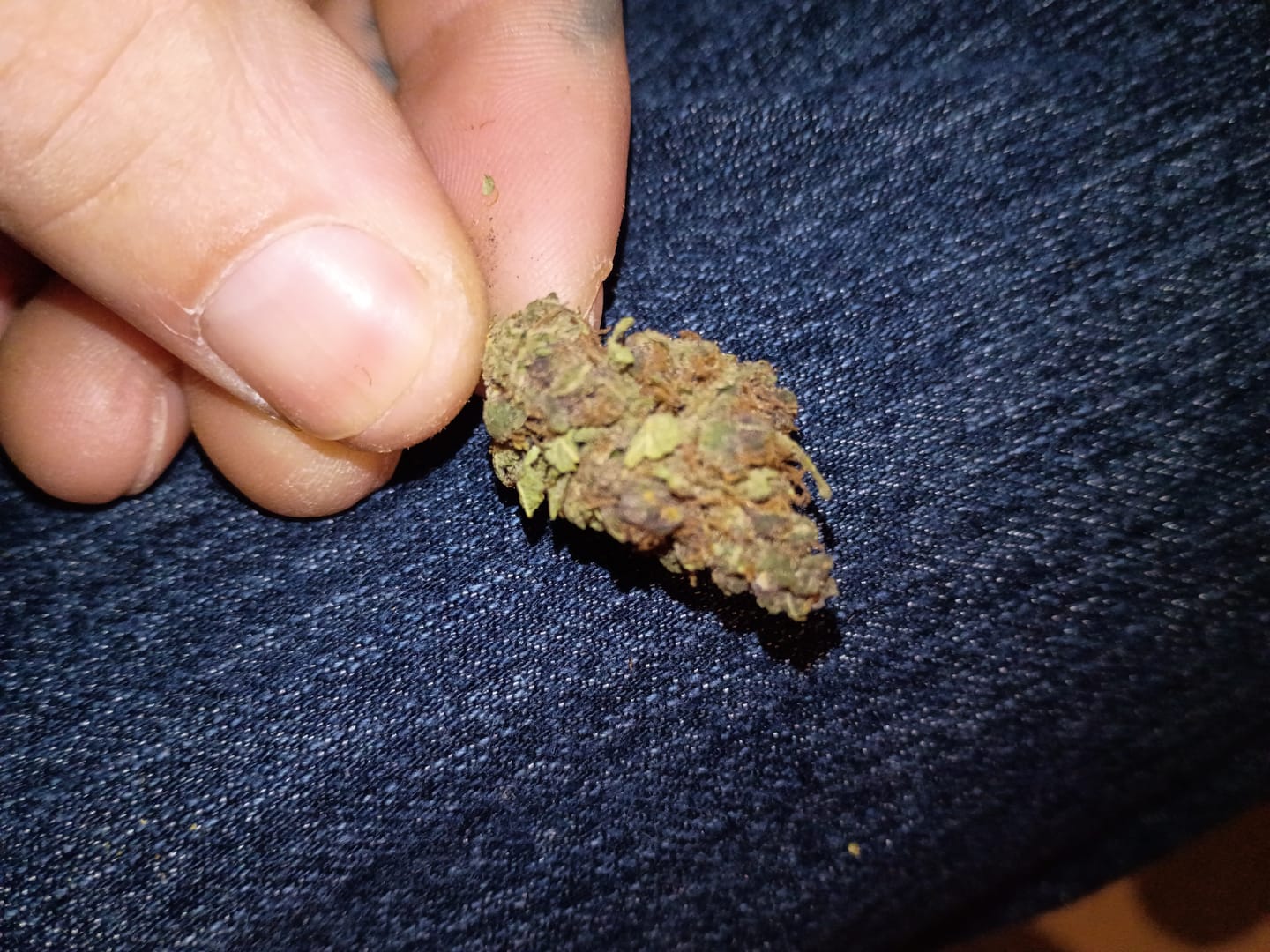 Customer photo review of Bubba OG - 28 Grams - Indica