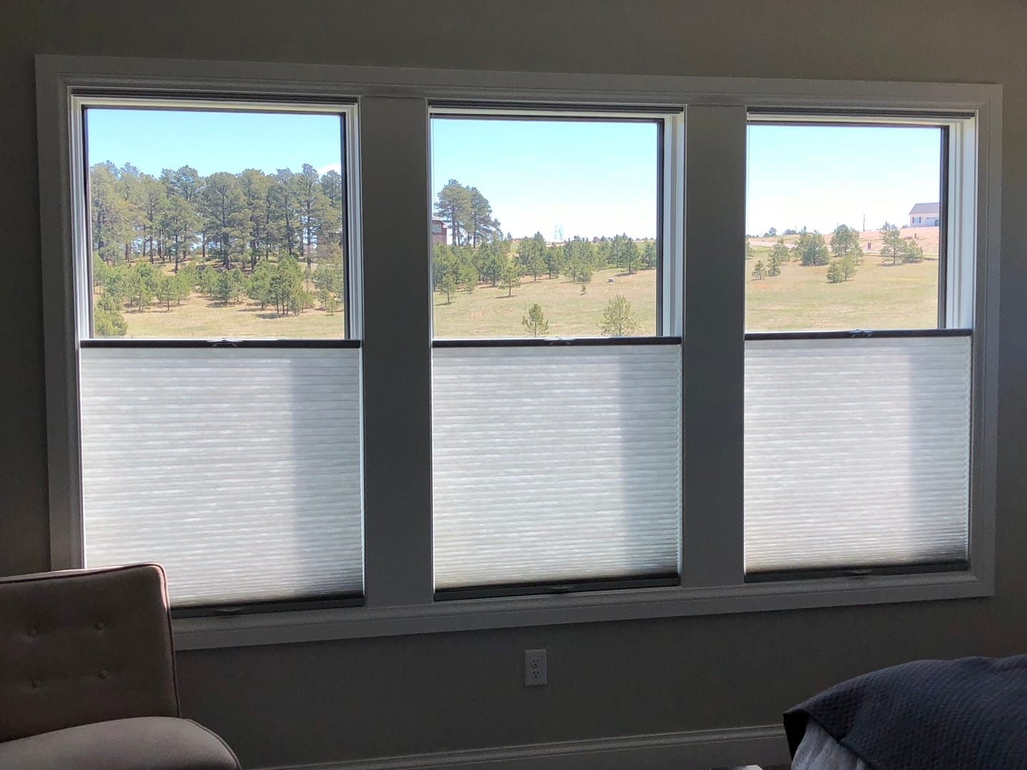 Customer photo review of Light Filtering Cellular Shades